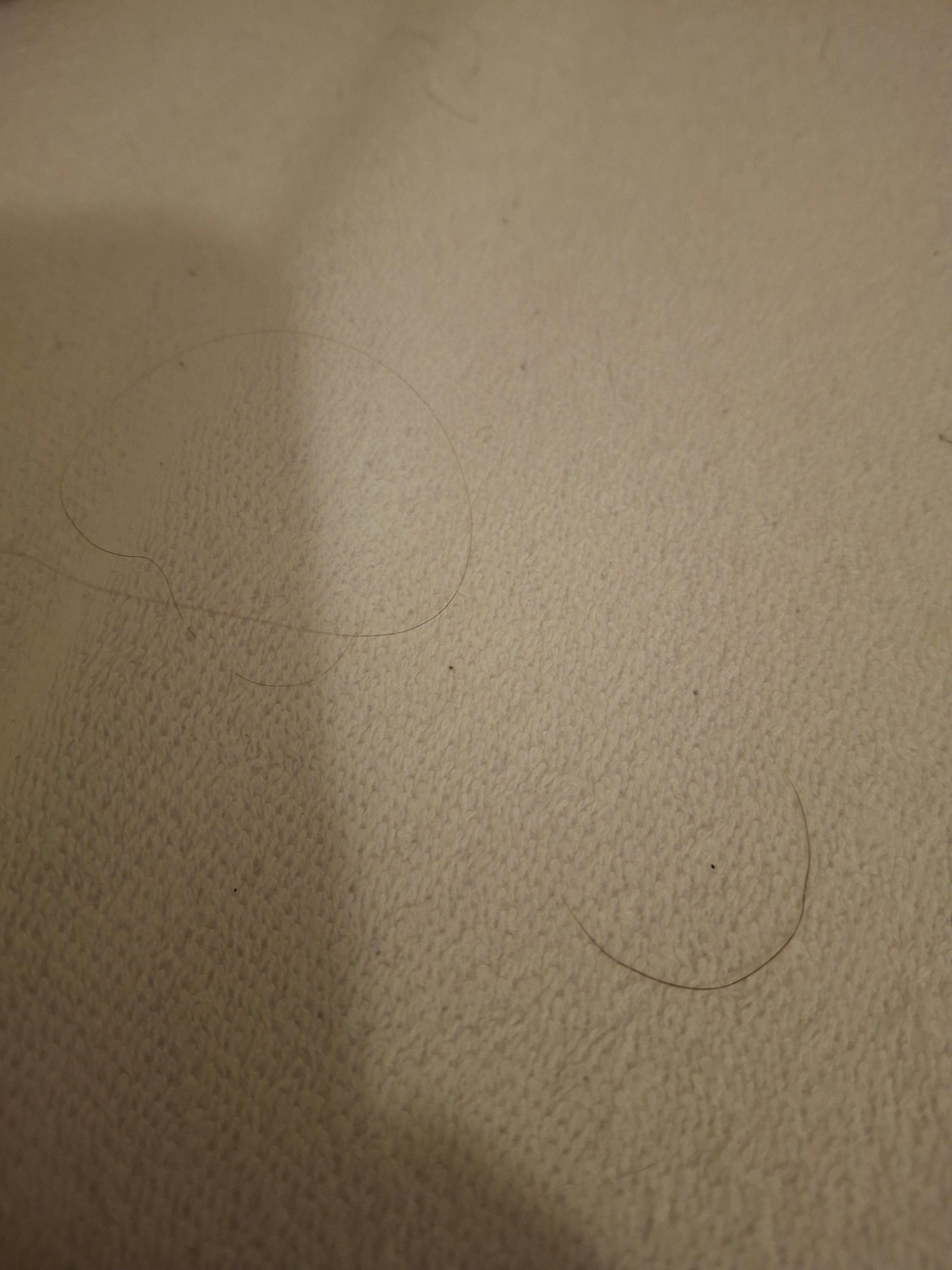 Hair on stained sheets 