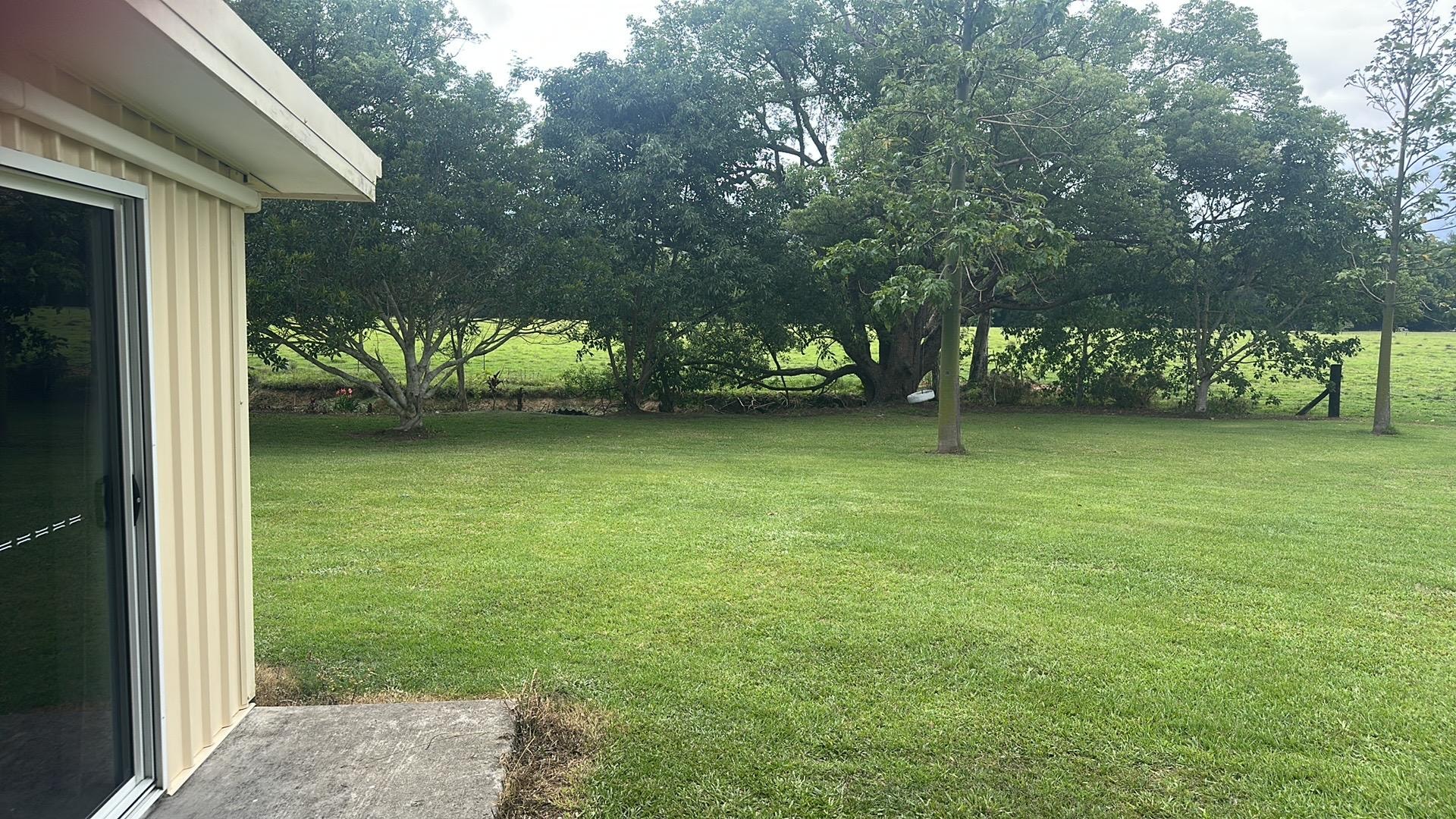 Trees providing a travel stop for many birds, growing on the bank of a creek there. 