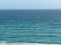 View from the patio.