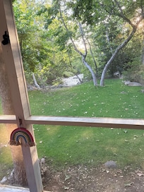 View from the sun room