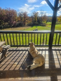 Overlooking front yard