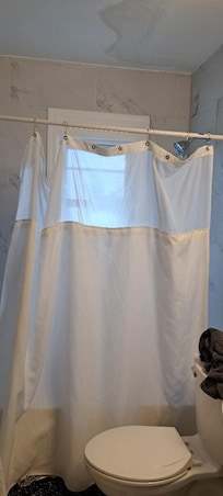 "Spa bathroom?" 3 shower curtain hooks, stains on ceiling; other toilet not working correctly