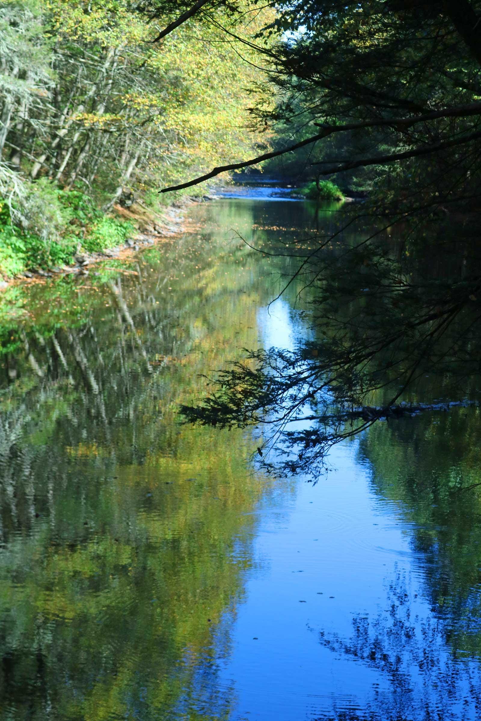 Beautiful Huntington Creek