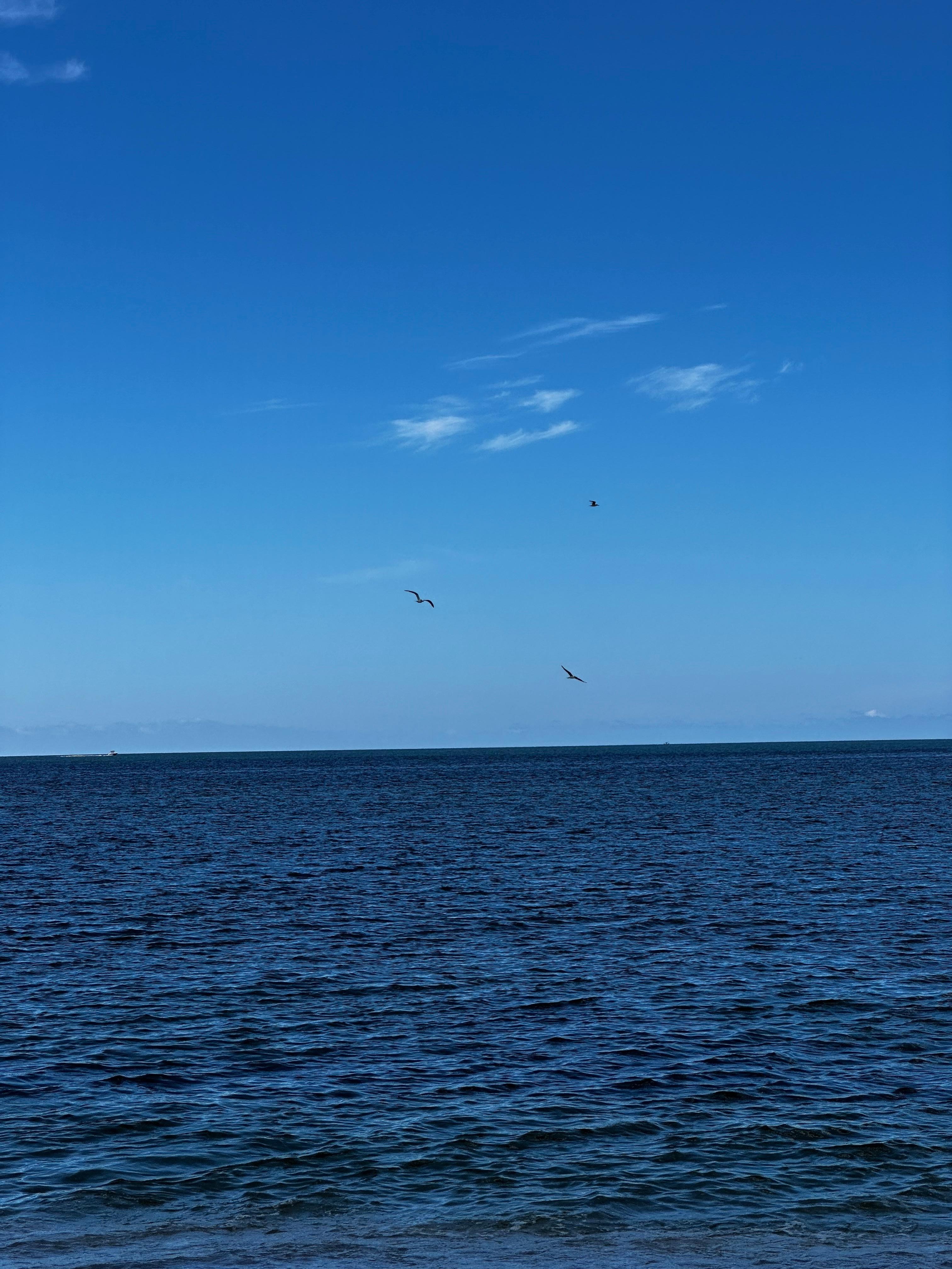 The beach, just beautiful 
