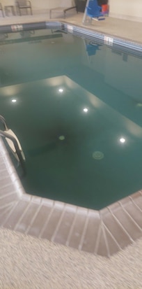 Black spot in pool