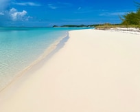 Starfish beach