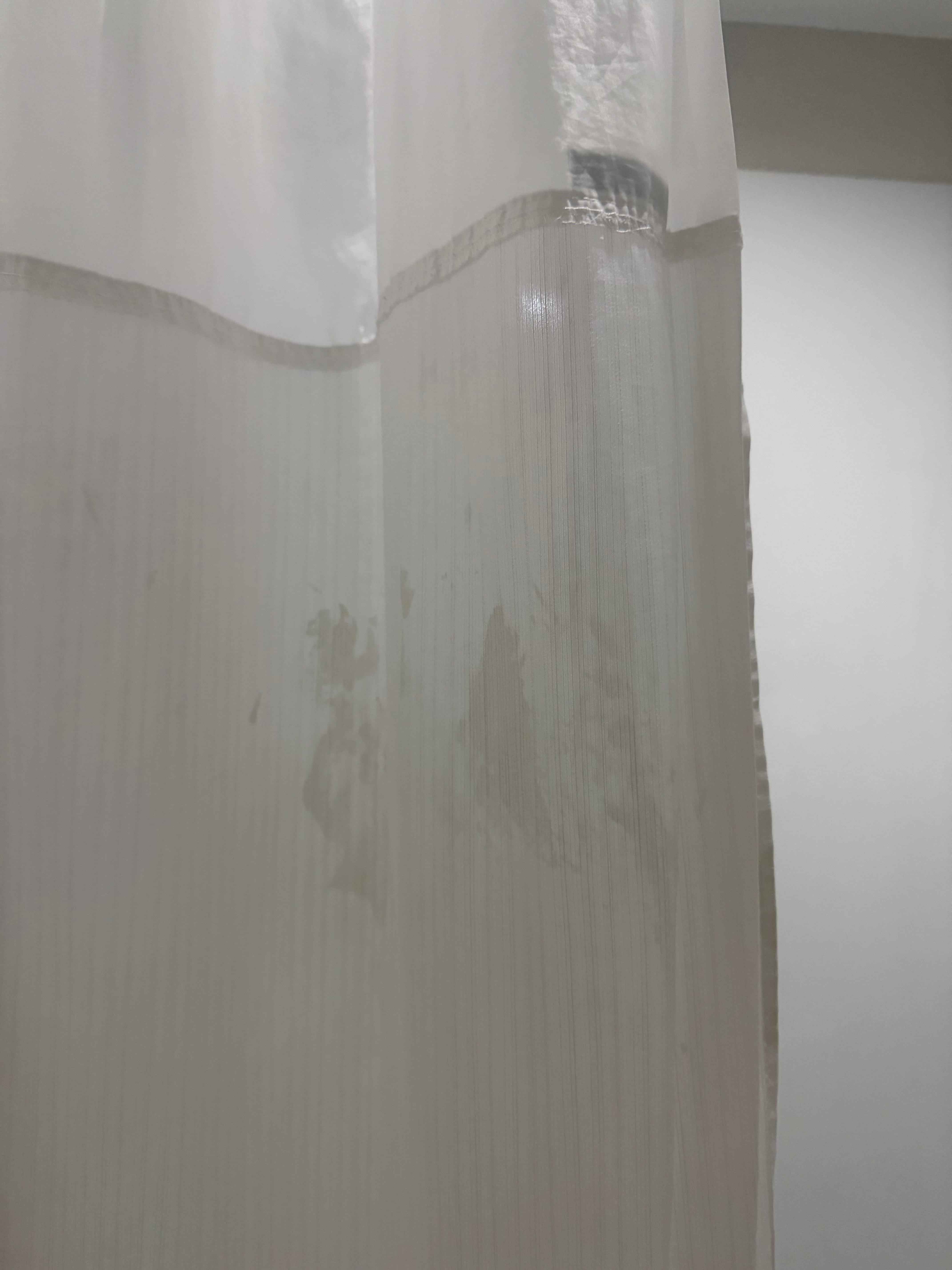 Dirty shower curtain 
