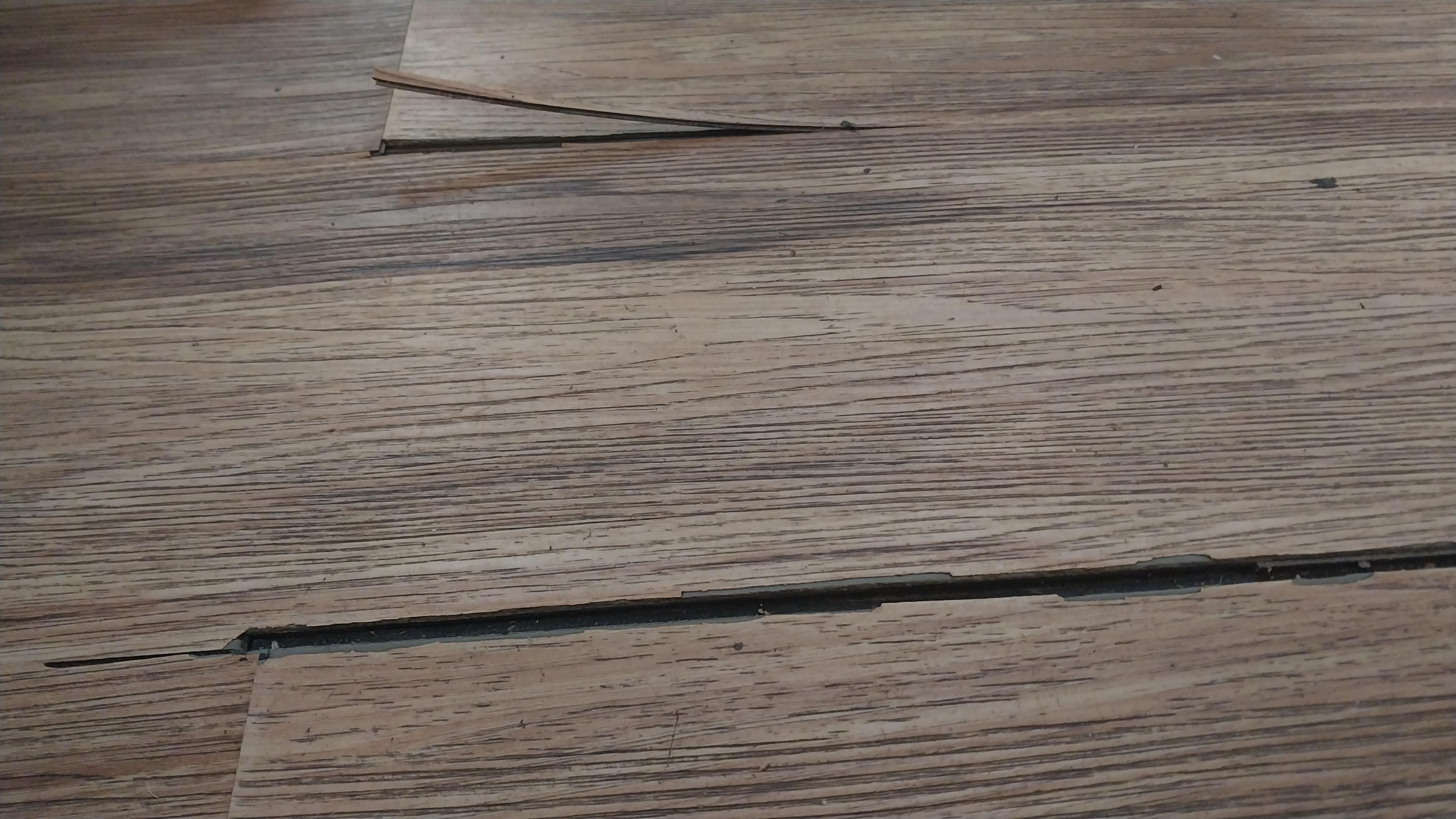 Floor in room