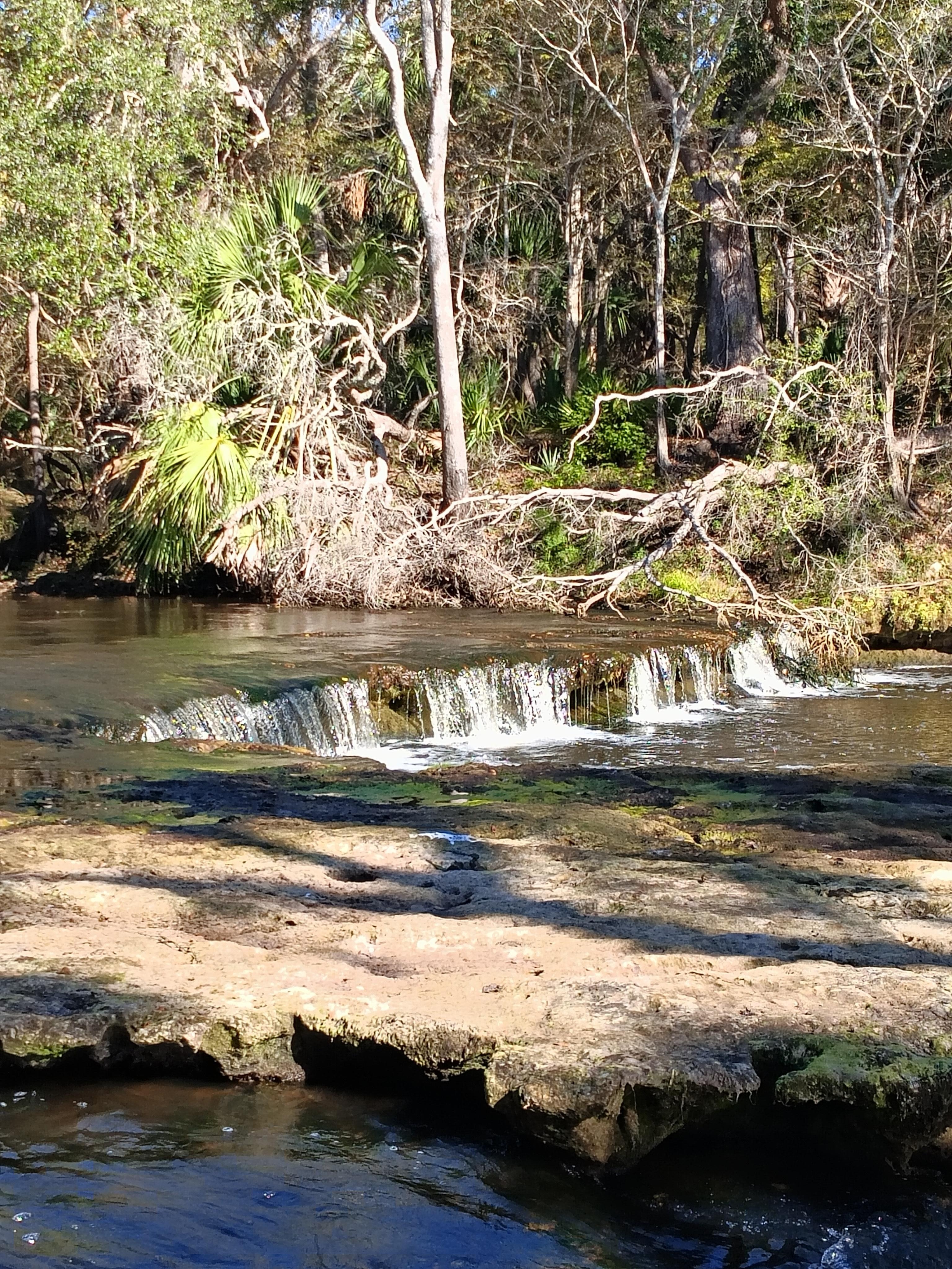 Steinhatchee Falls