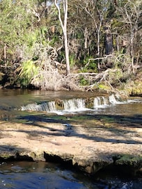 Steinhatchee Falls