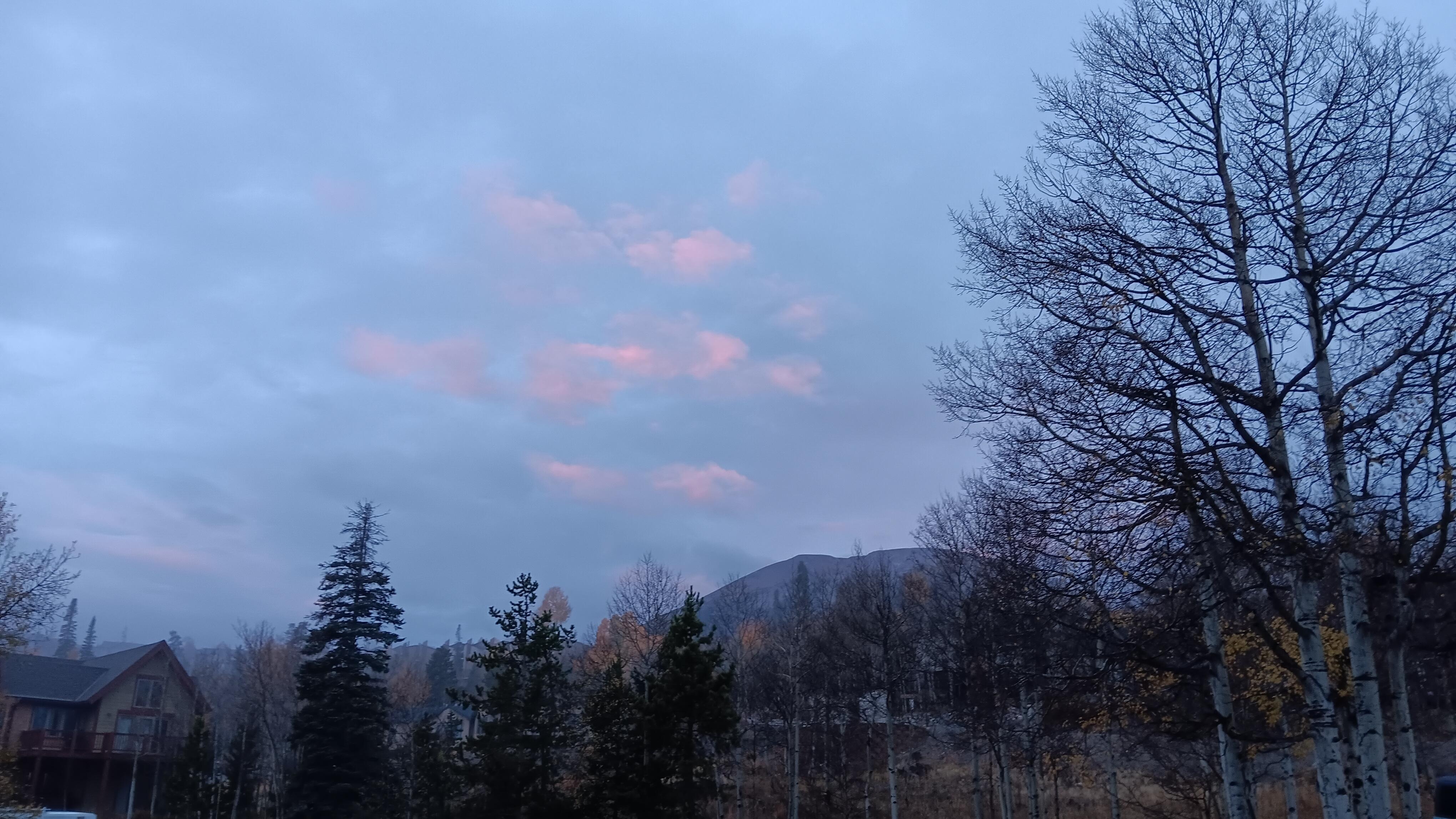 View of Buffalo Mtn from the deck.