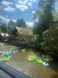 Teenagers loved tubing- right across the cabin with the cabin provided tubes and also through the paid tubing company a mile away from the cabin