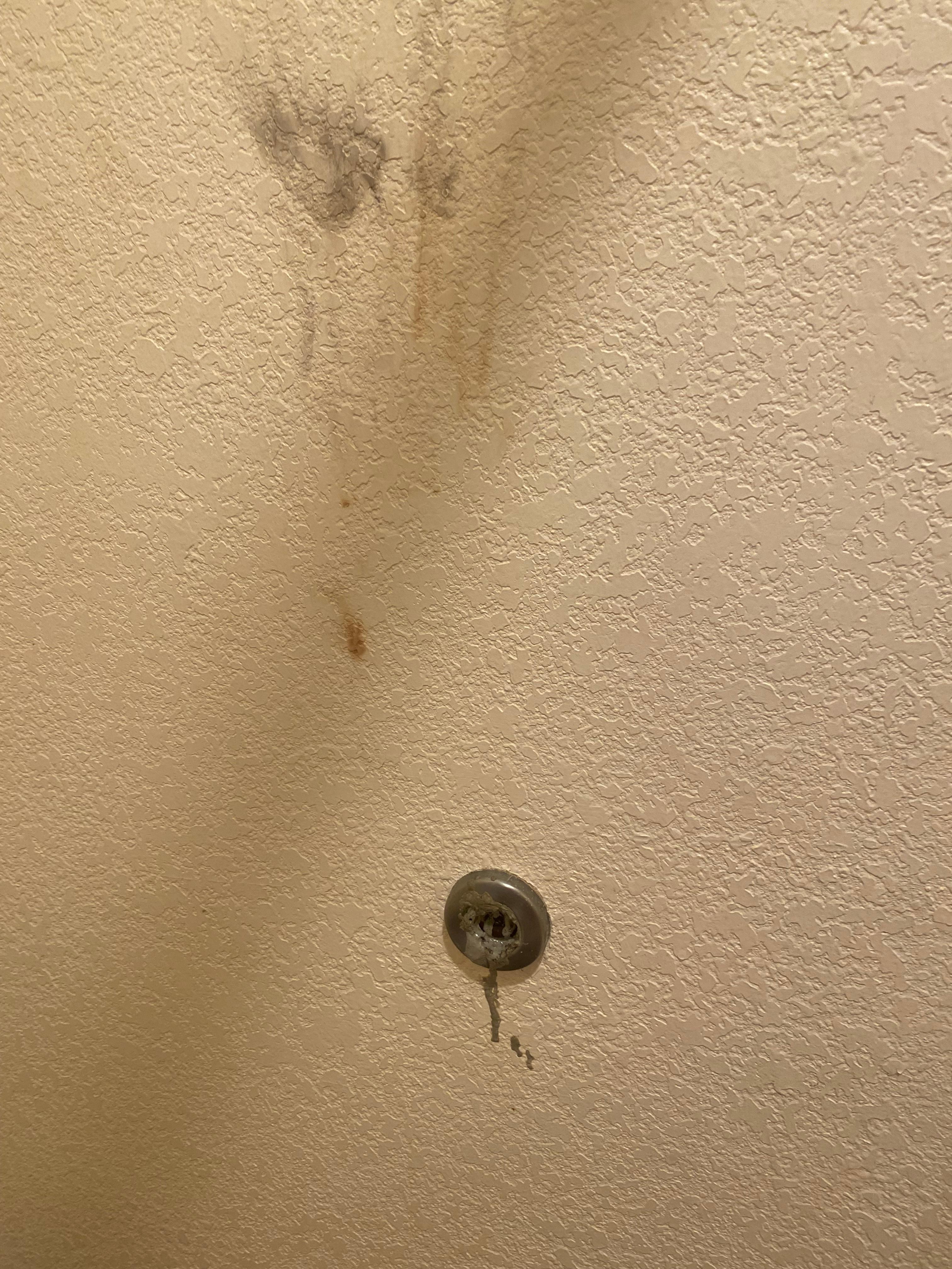 stained wall behind bathroom door