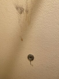 stained wall behind bathroom door