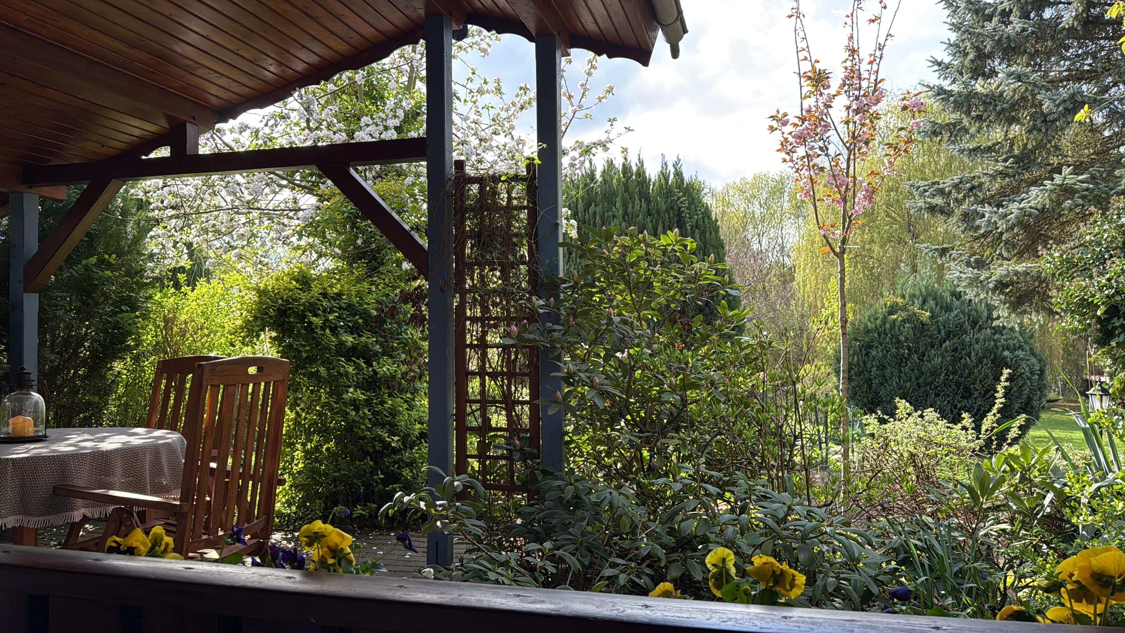 Blick in den Garten