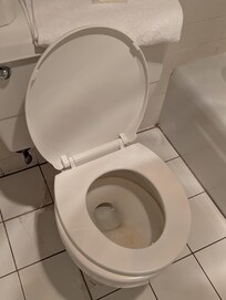 The nasty toilet