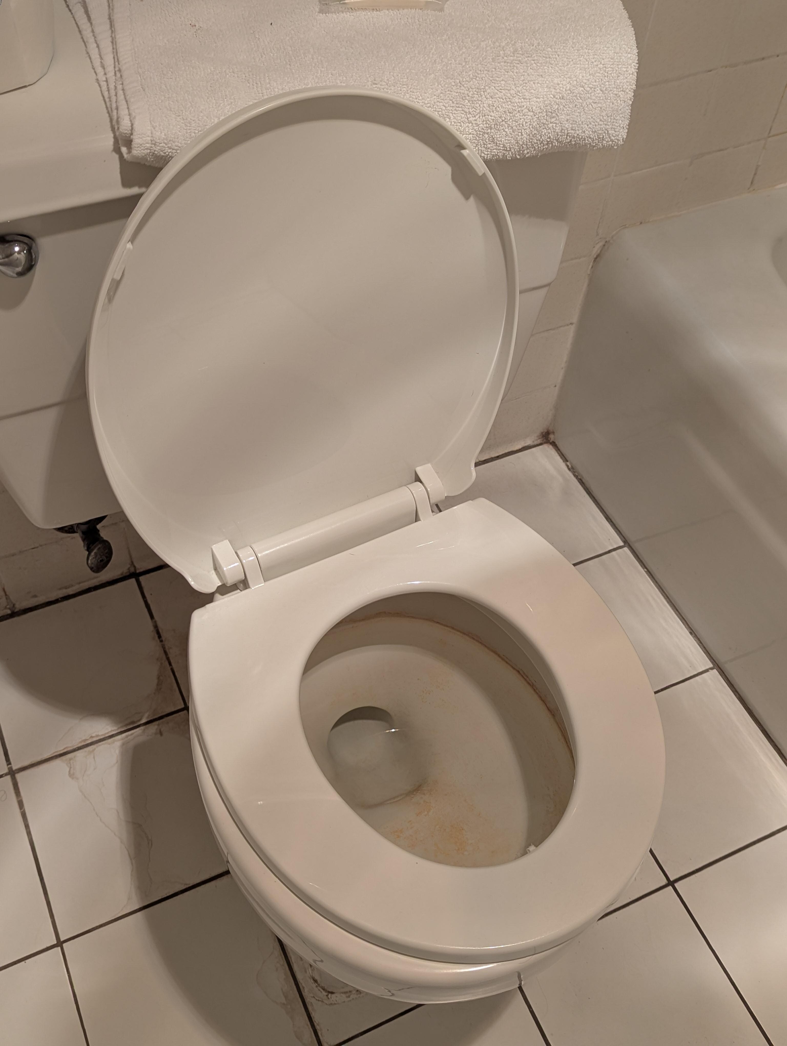 The nasty toilet