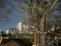 Great view from the deck