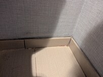 Dried gunk/dirt/grossness in corner of bathroom.