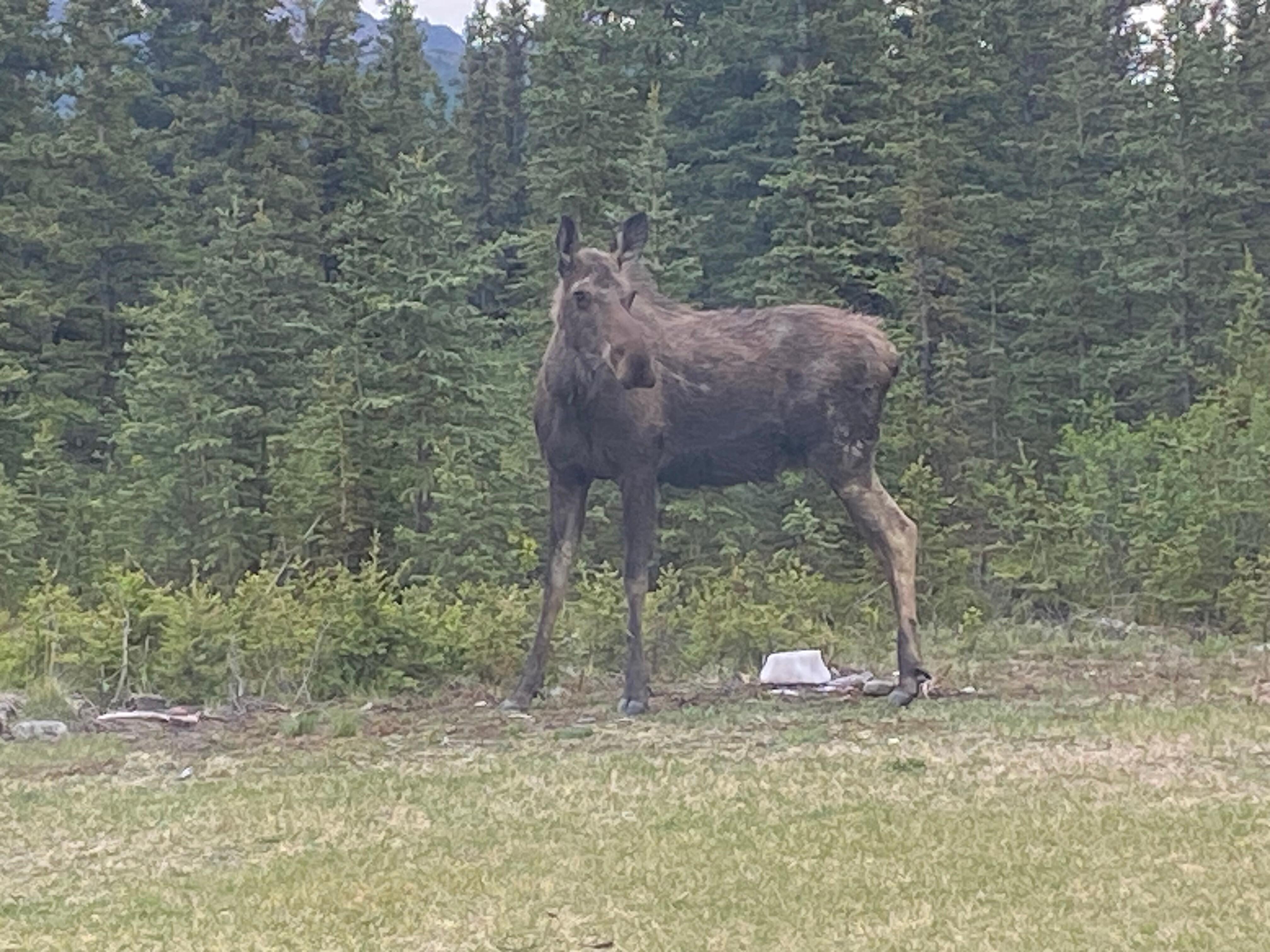 In the backyard at the house.