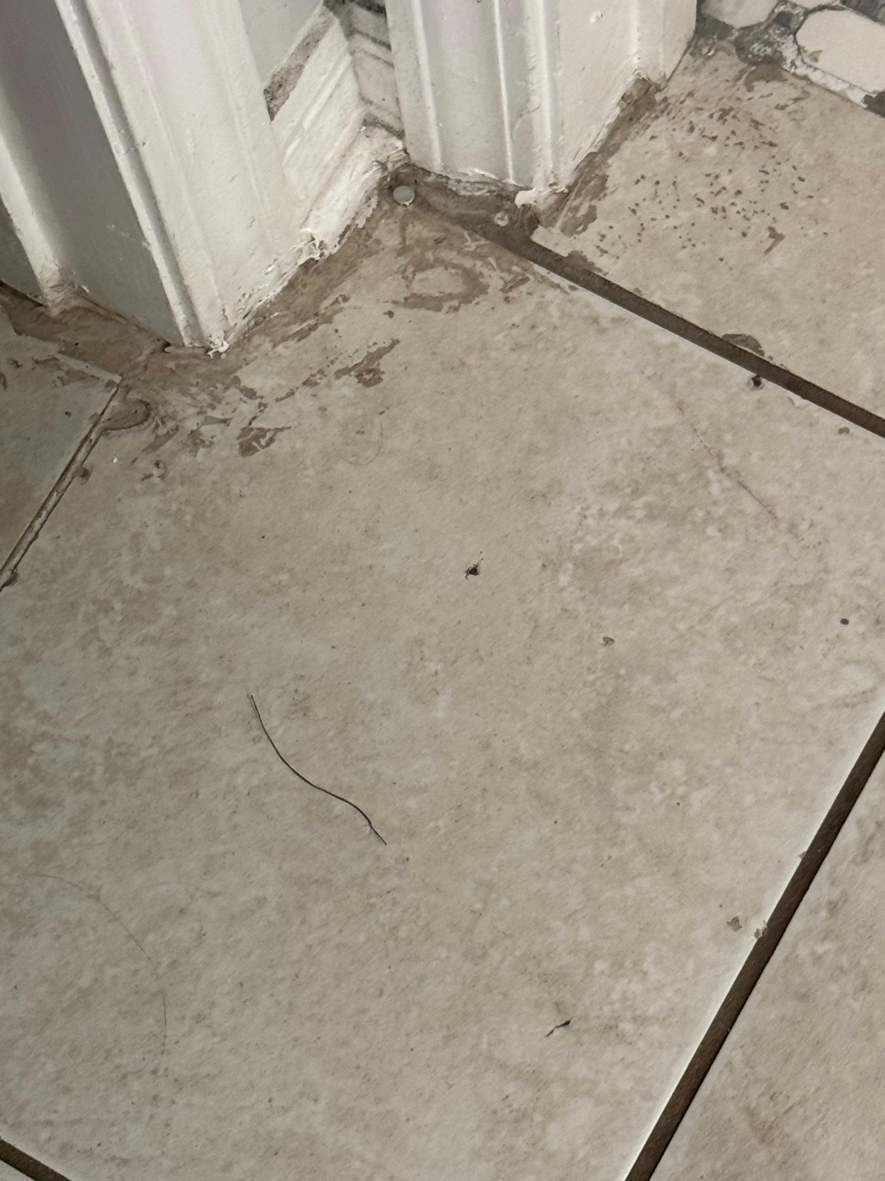 Not to be picky I hate doing this - but just aspects like this…