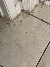 Not to be picky I hate doing this - but just aspects like this…