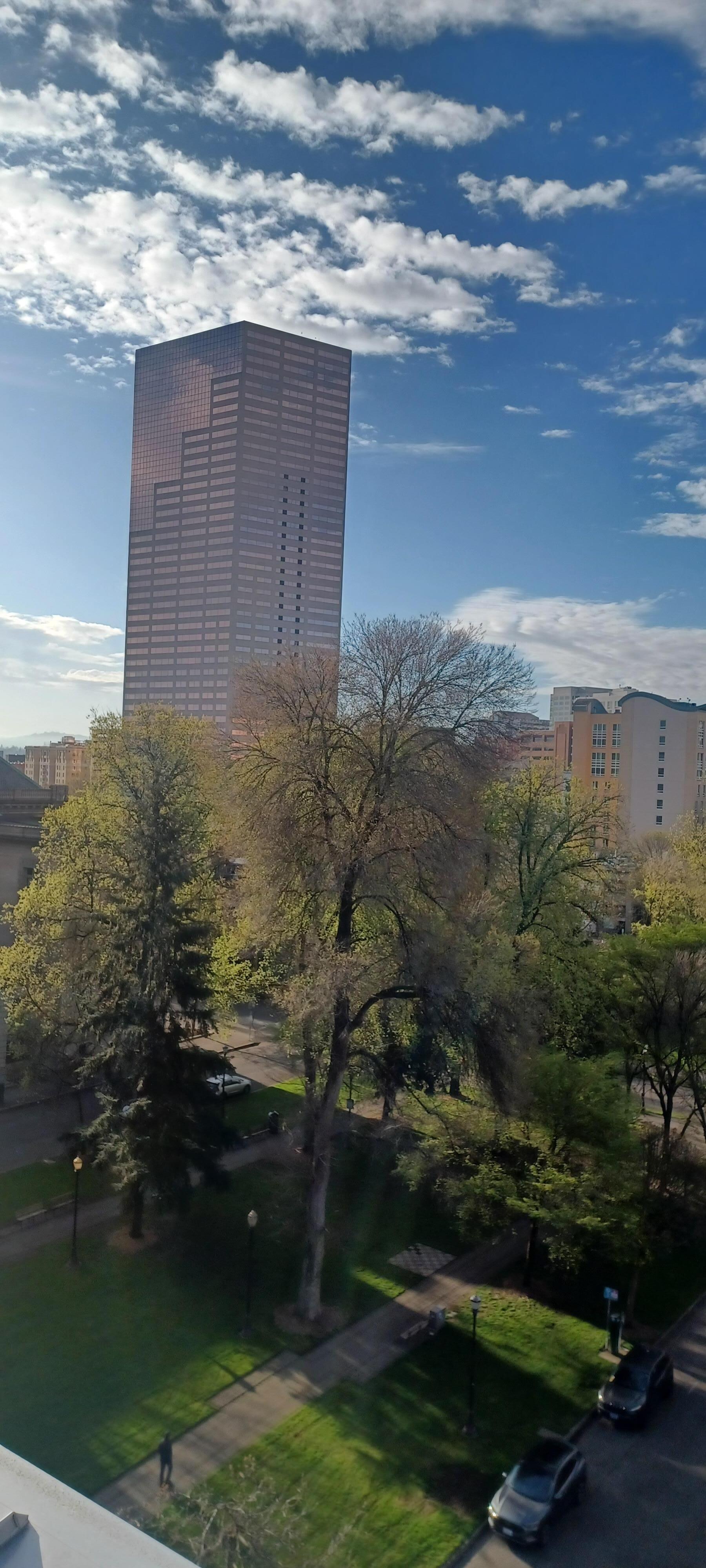 View from the rooftop terrace