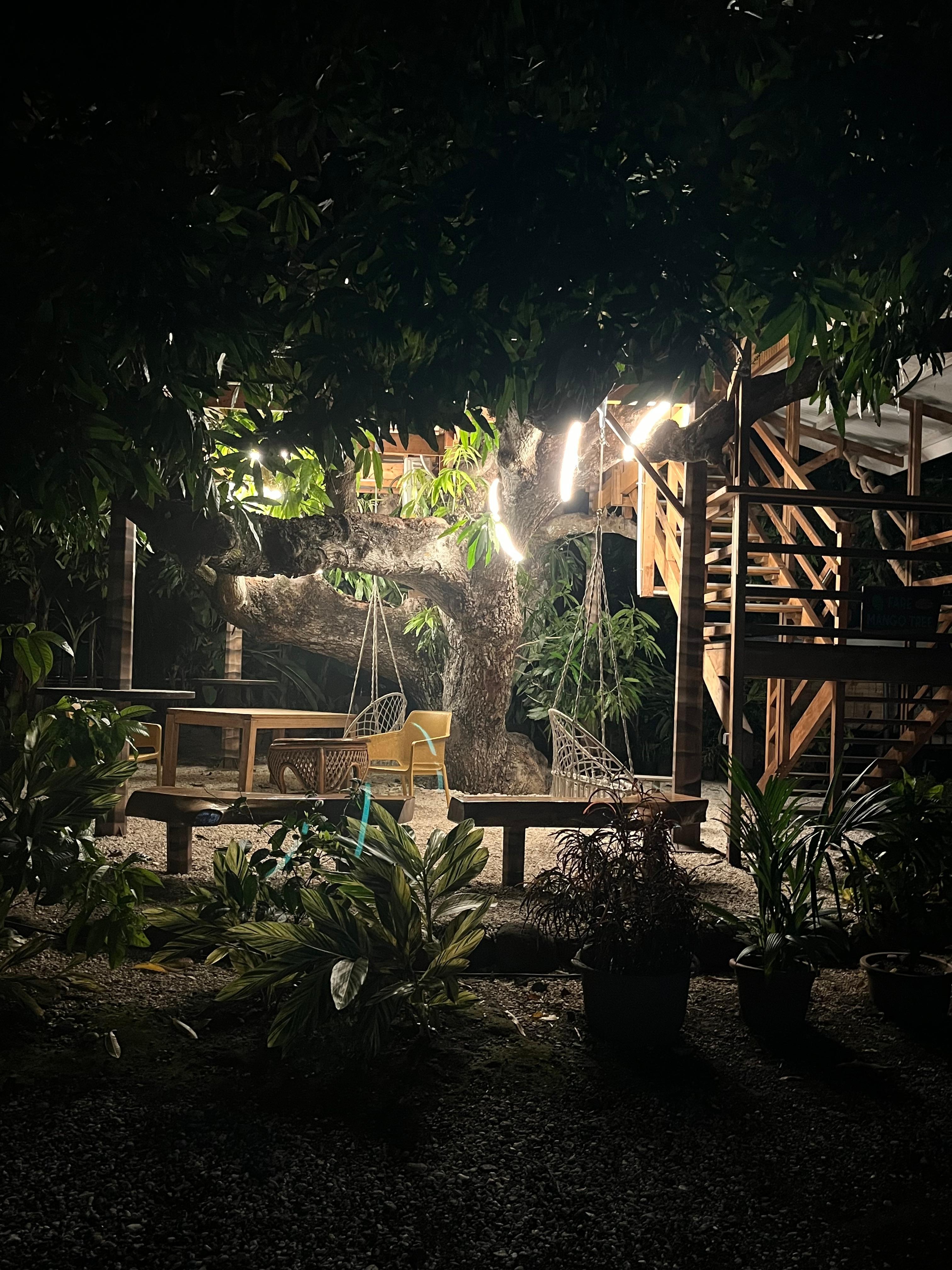 Unique accommodations. 