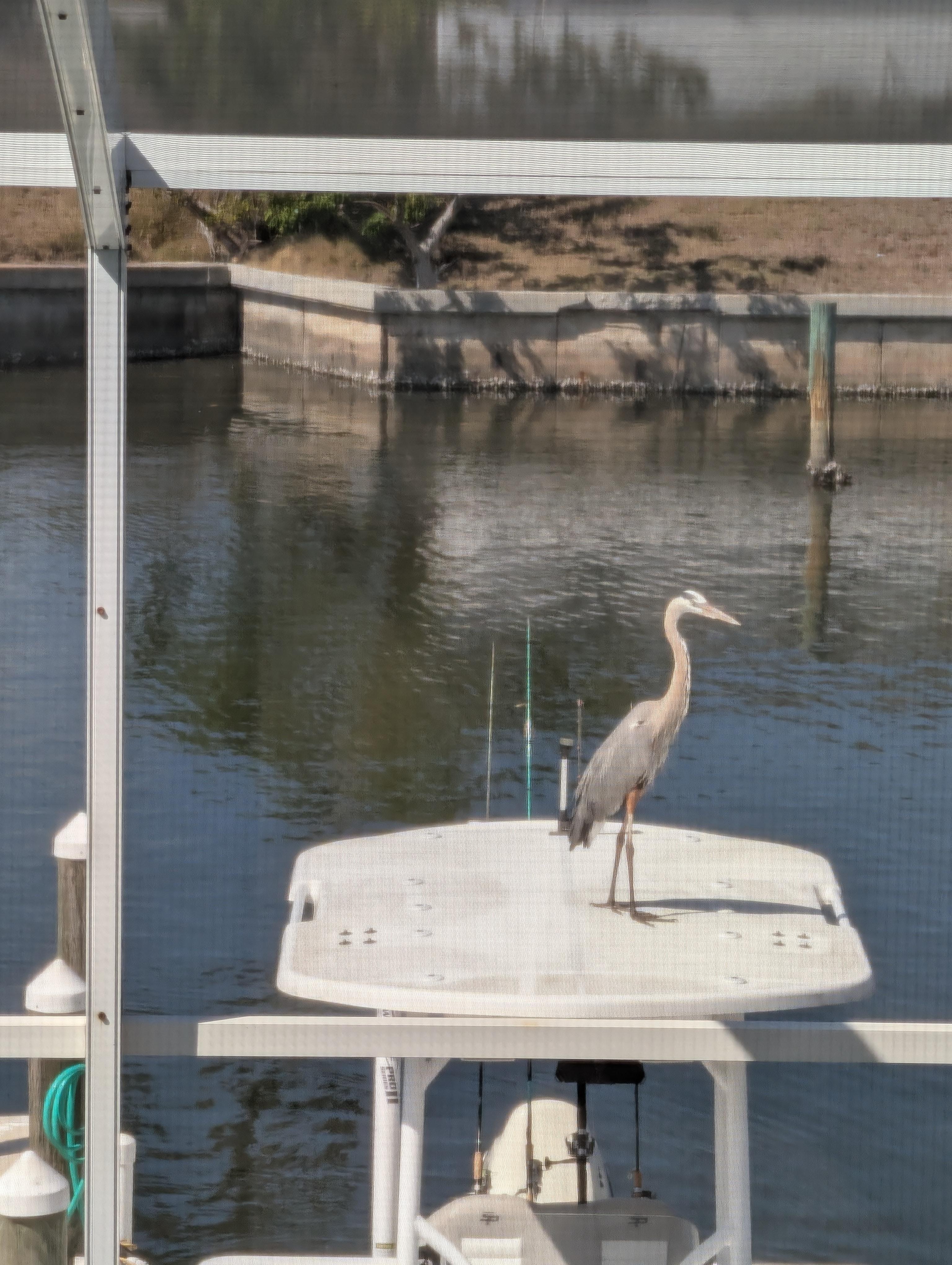 Visitors of all kinds