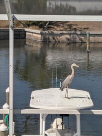 Visitors of all kinds