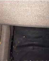 The pullout couch