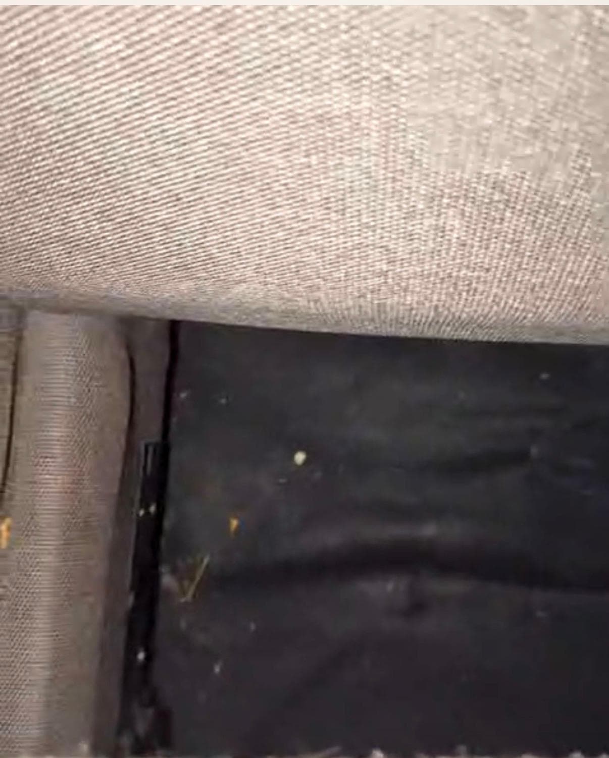 The pullout couch