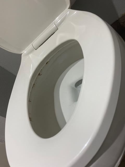 Inside, under the toilet seat