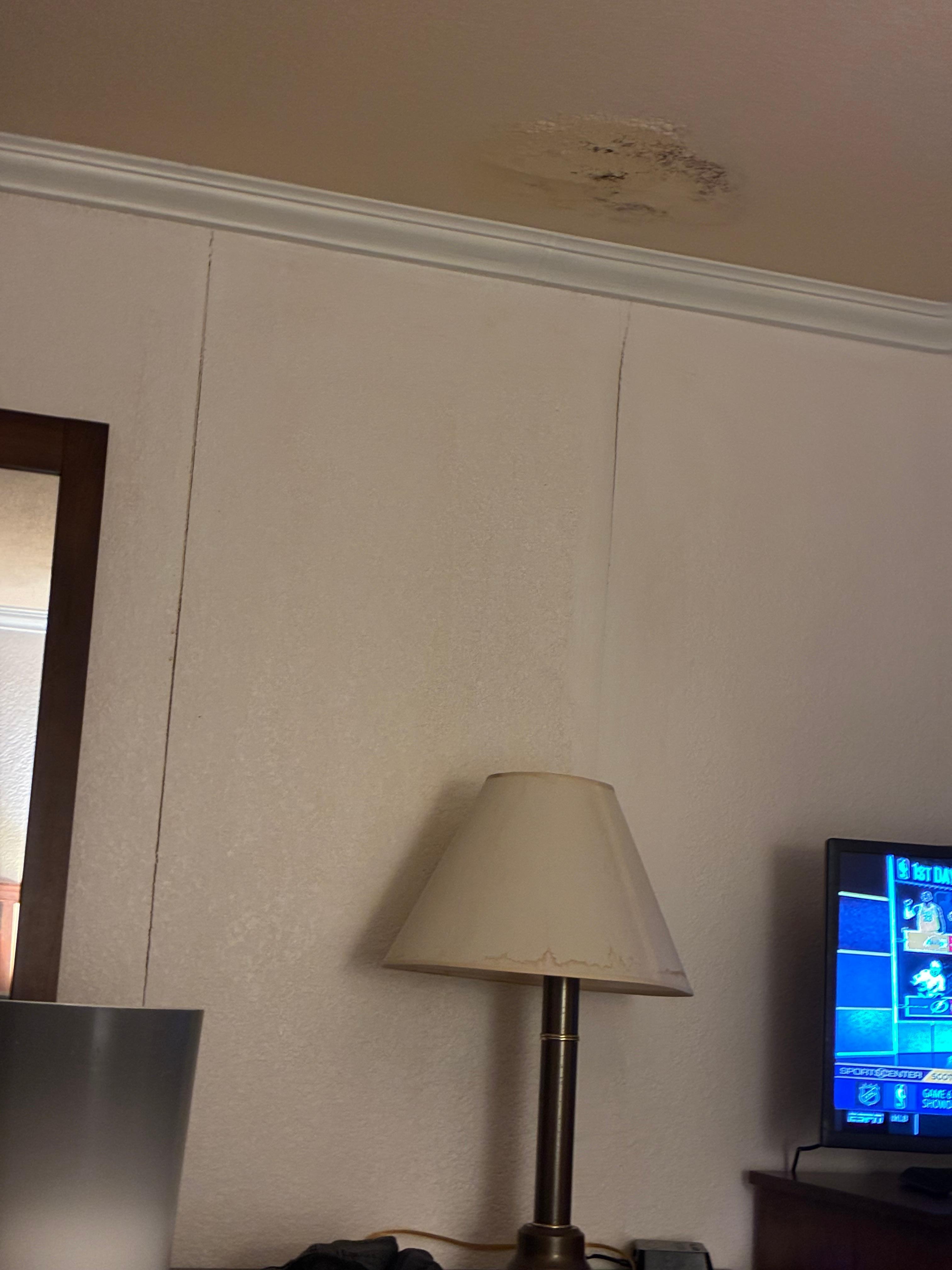 Moldy/wall peeling