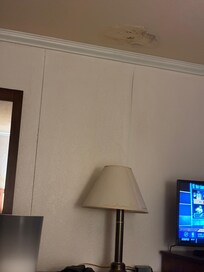 Moldy/wall peeling