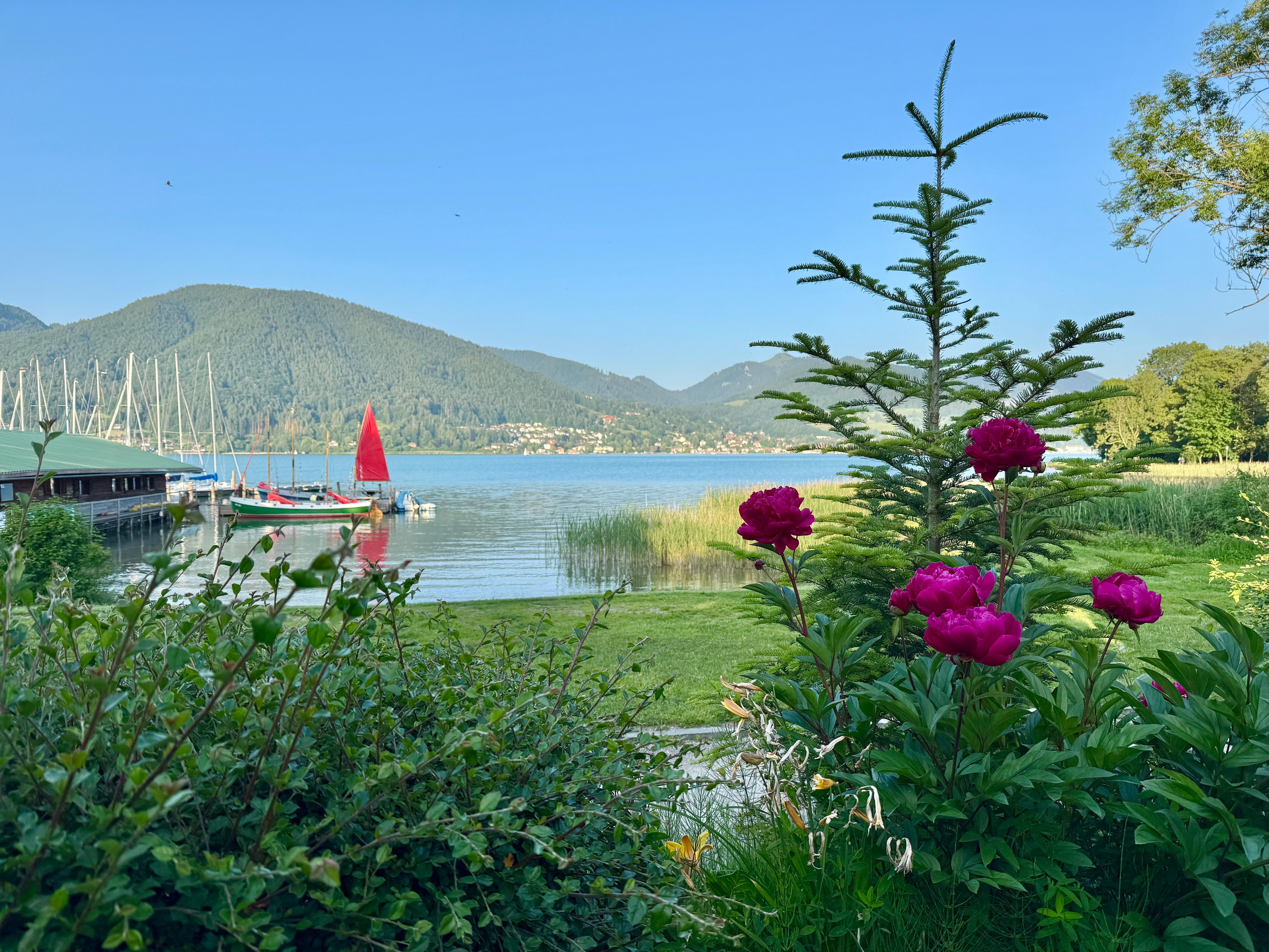 Blick vom Gartenrestaurant auf den Tegernsee