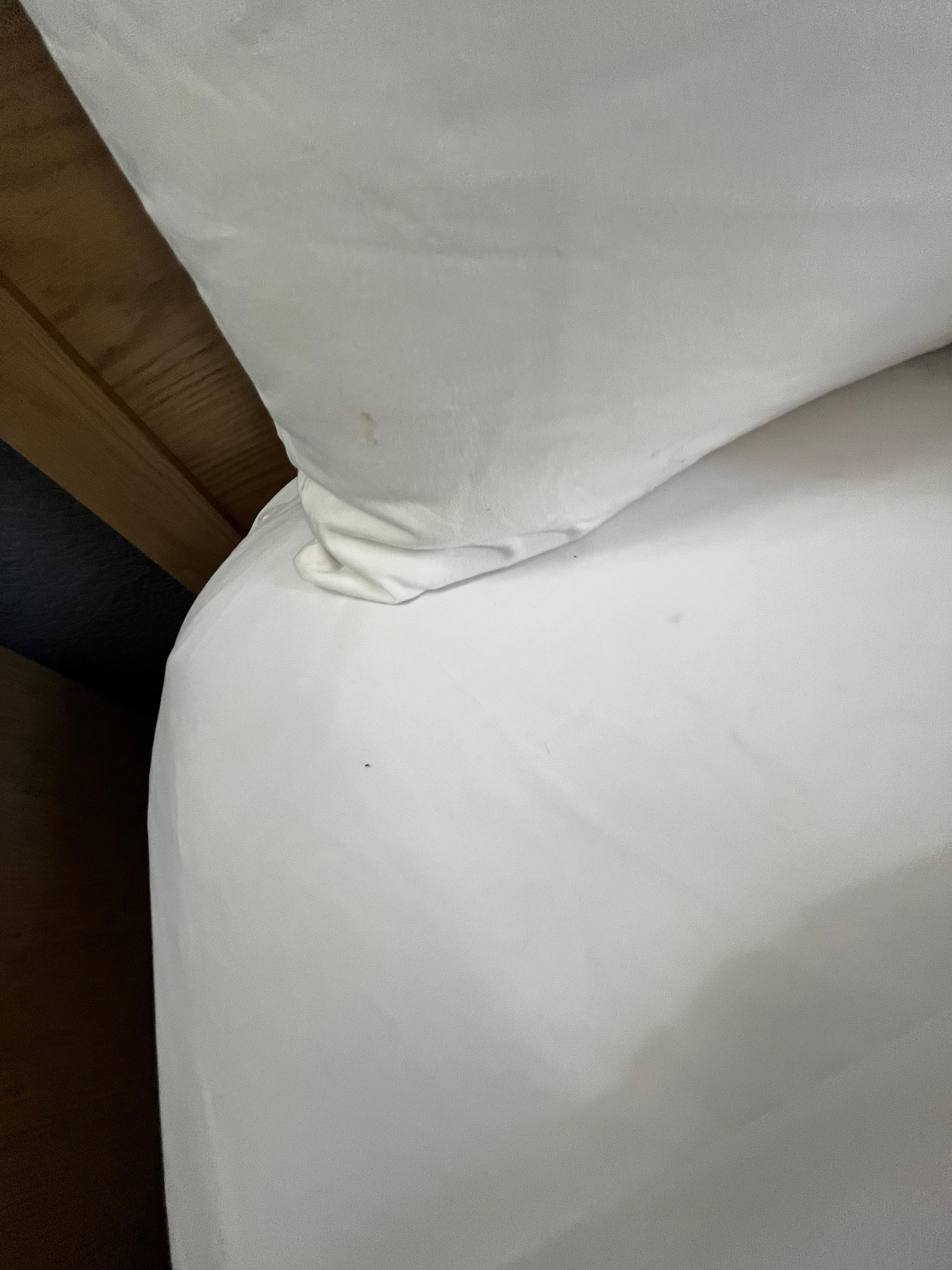 Stains on bed sheets! 