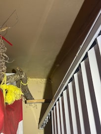 Notice multiple spider webs not safe for infant