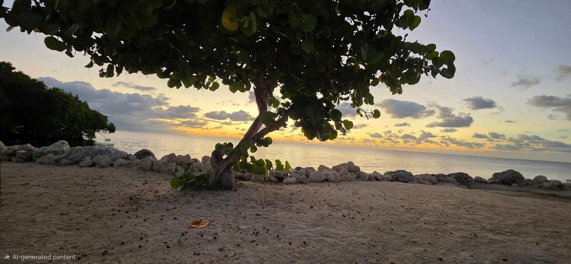 Just a few steps right outside the condo