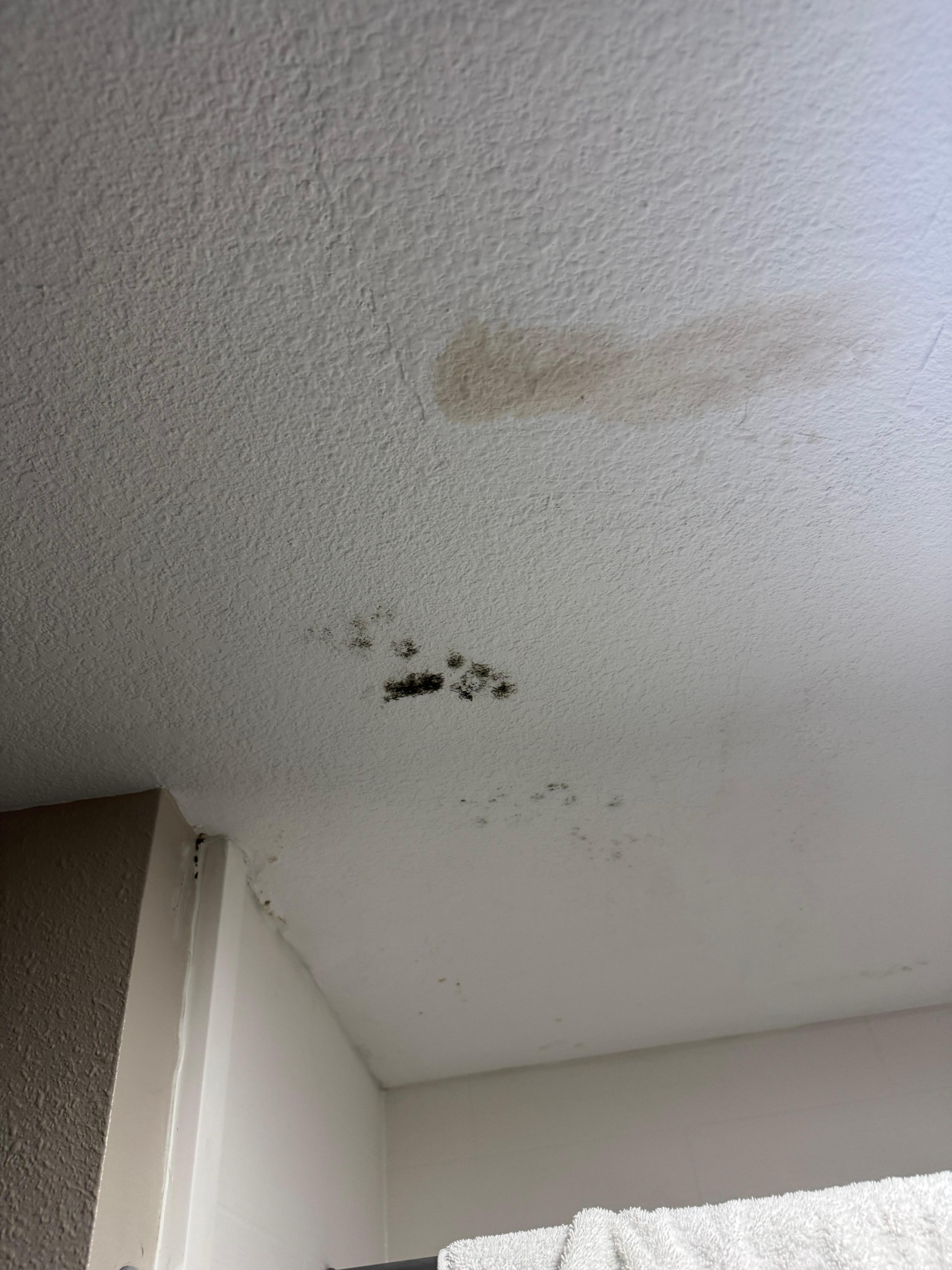 Mold in bathroom. 