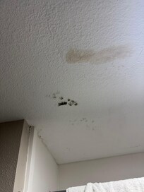 Mold in bathroom.