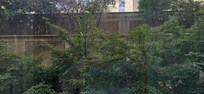 Our "river view" that we paid for and did not get.