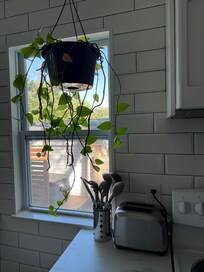 I loved the updated kitchen with the hanging plant. It was so fresh and clean.