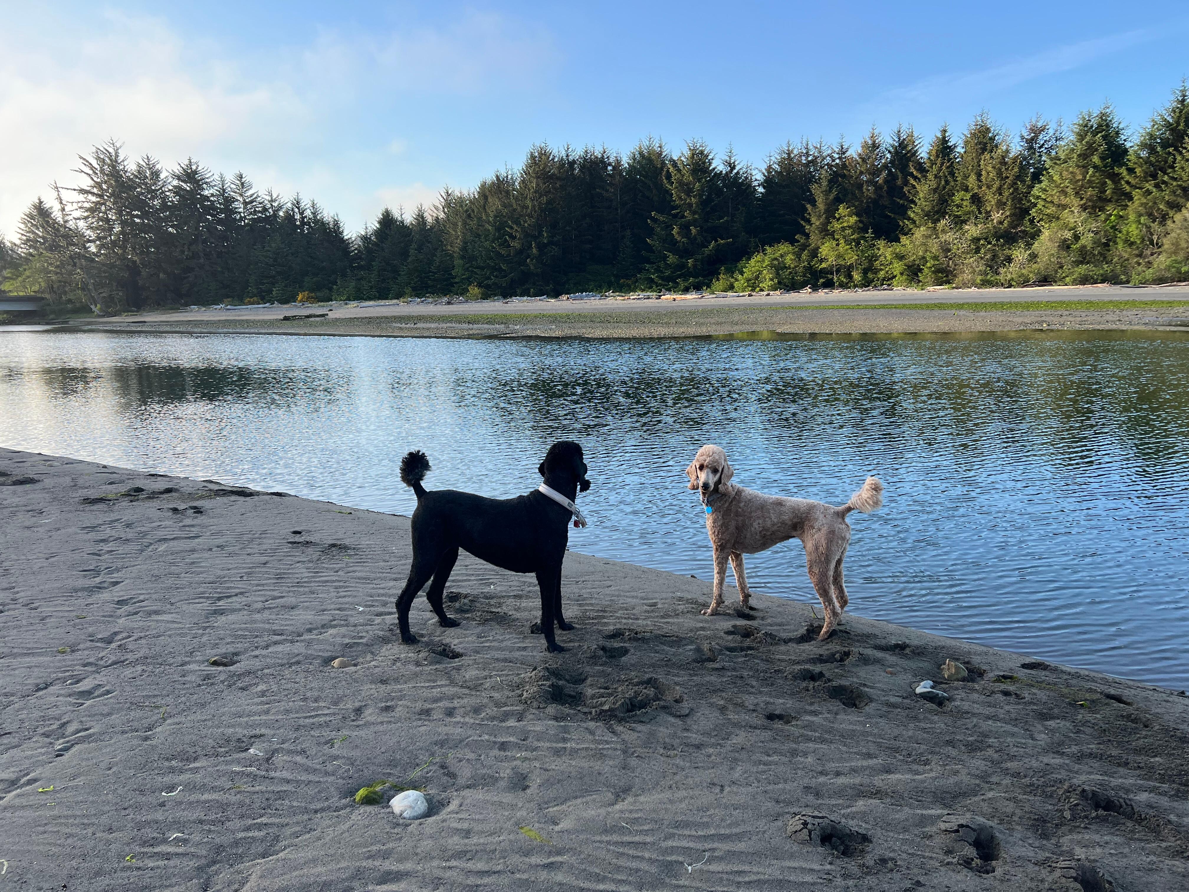 The mouth of the Winchuck River