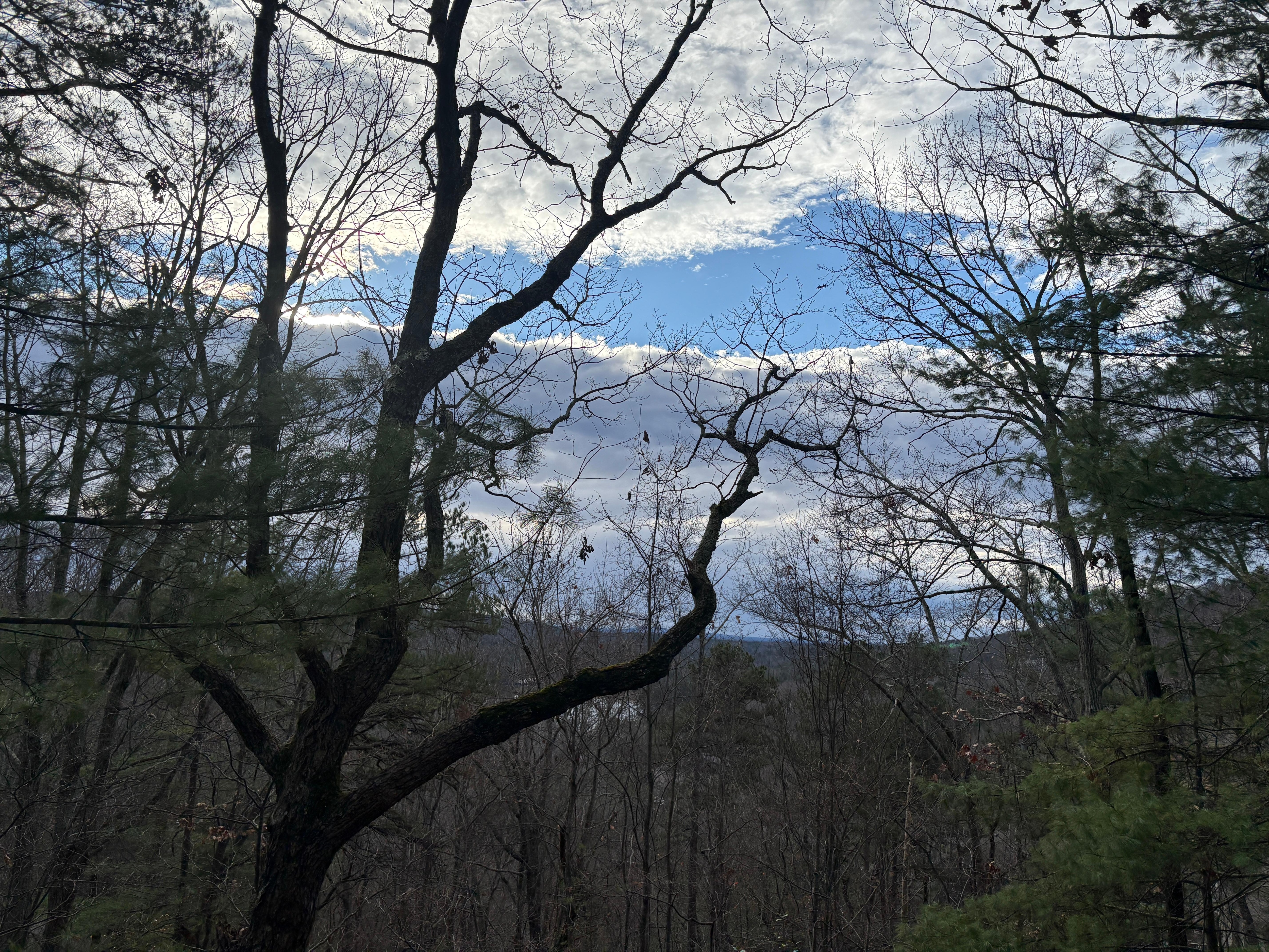 Views from the balcony. 