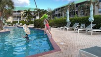 Early morning swim