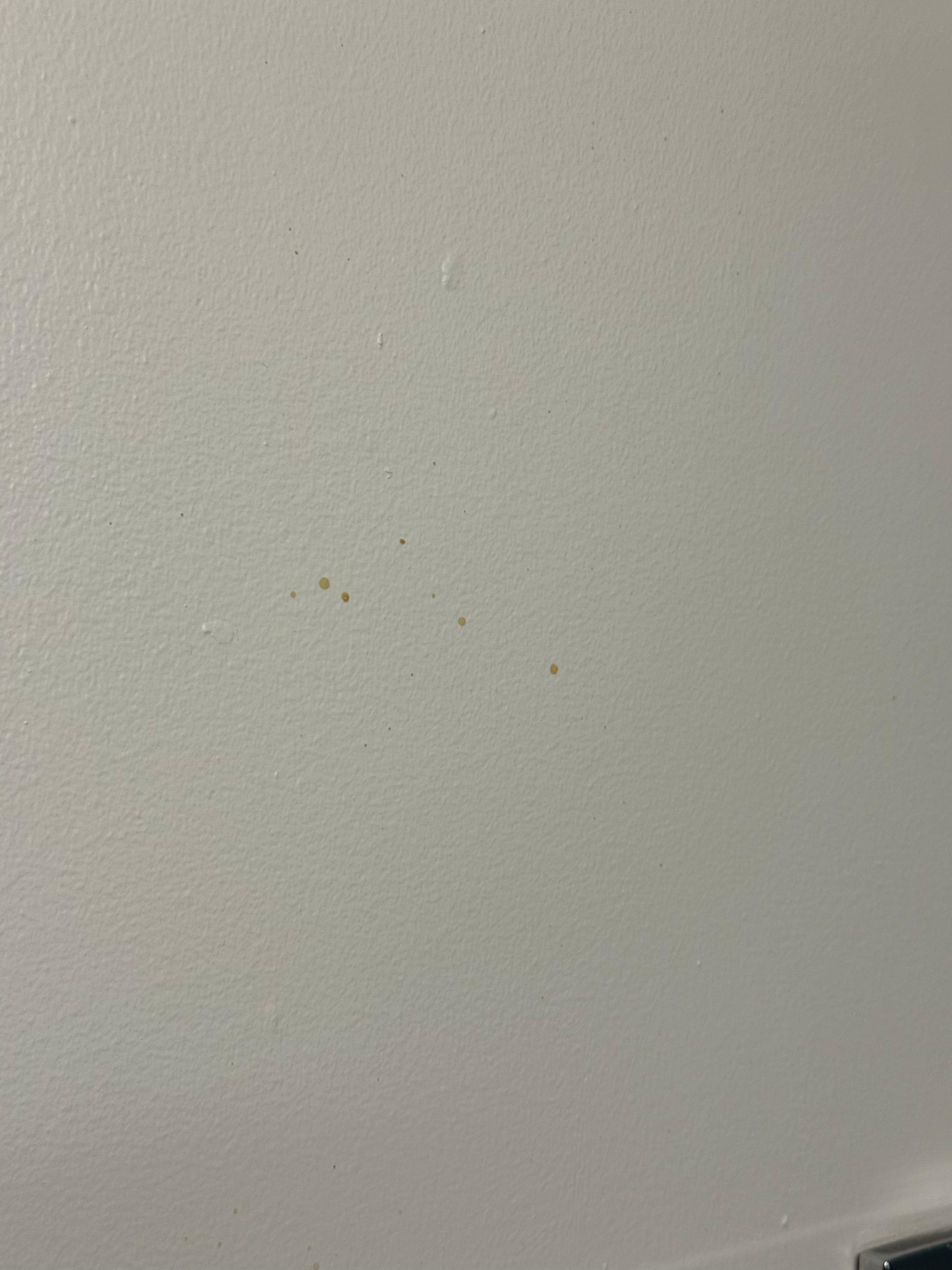 Dirt or something sprayed on the wall above “clean” towels. 