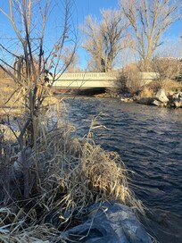 Area to feed ducks and go on a nice walk