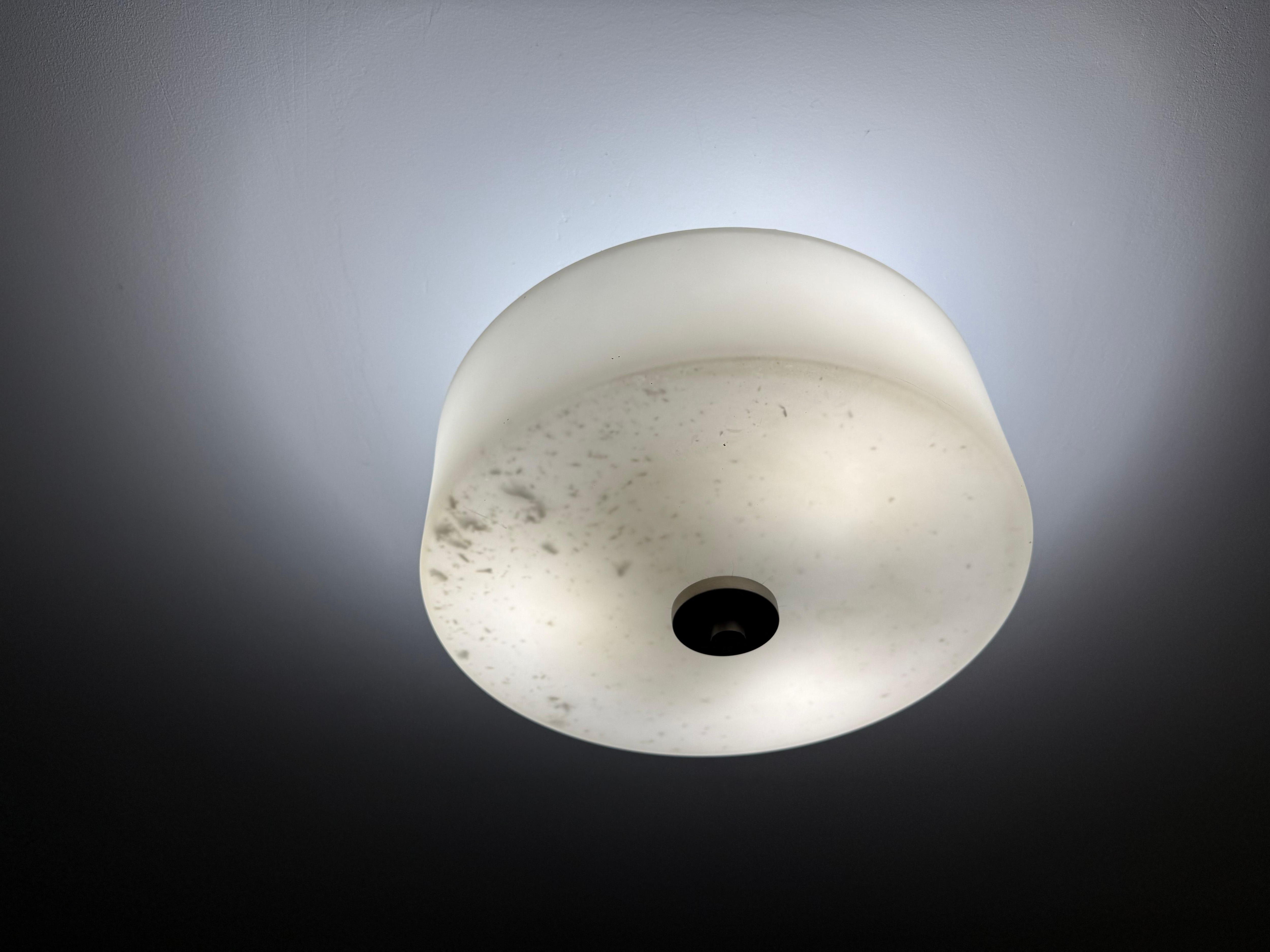 Dead bugs in light fixture 