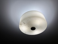 Dead bugs in light fixture